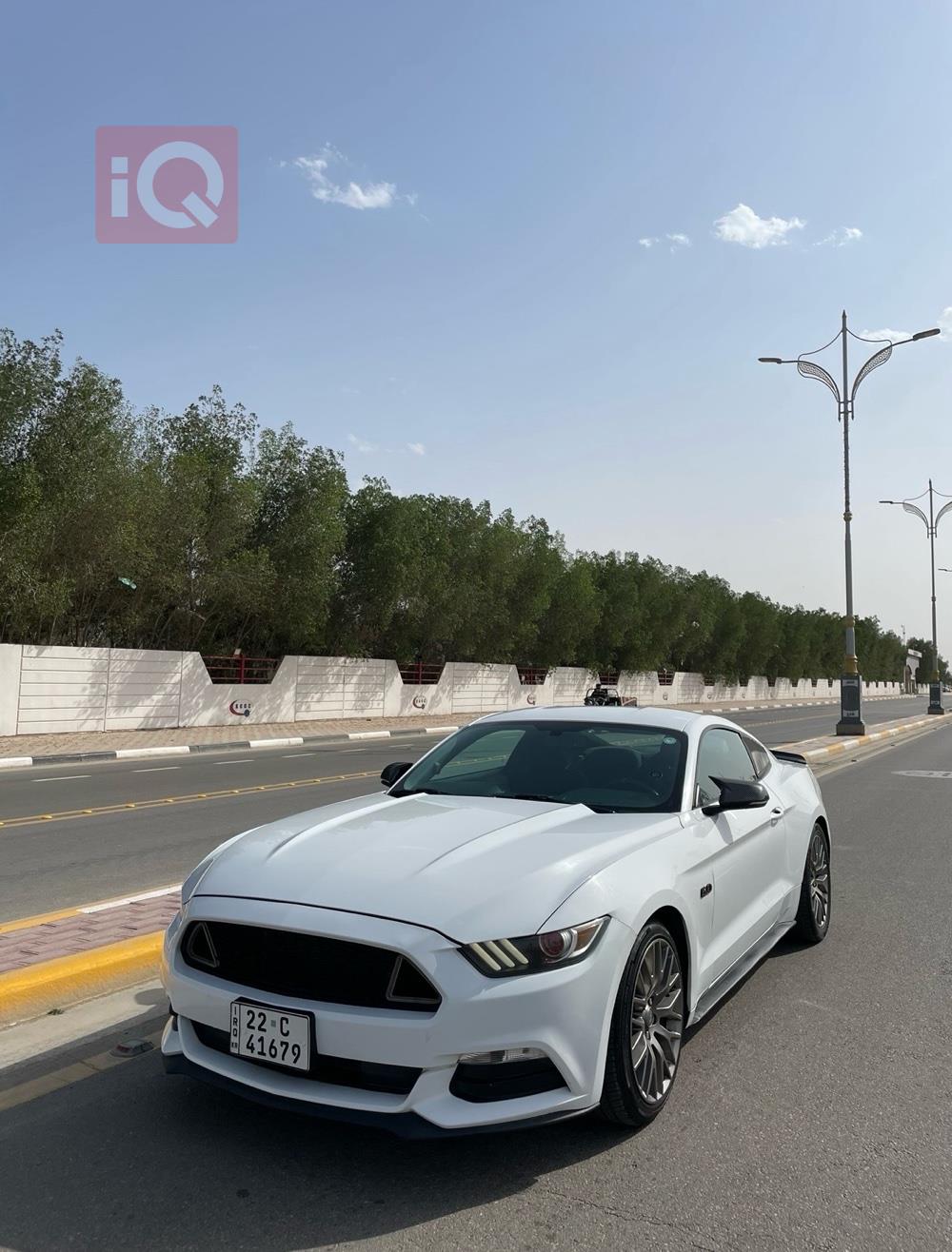 فۆرد مۆستانگ